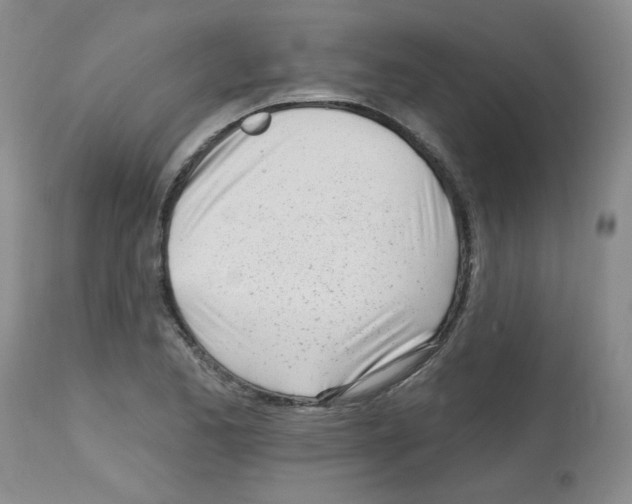 X0000112741173200910011214