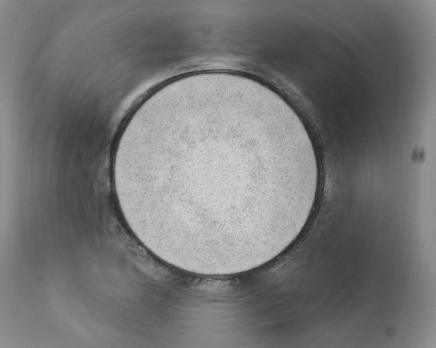 X0000112741174200910011214