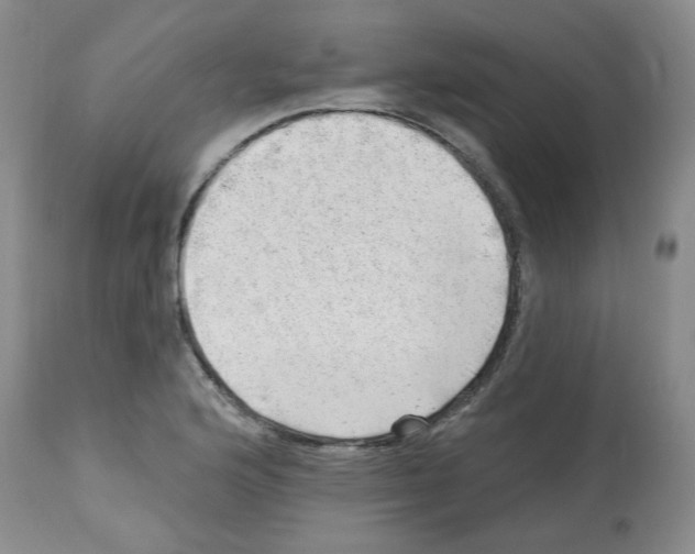 X0000112741176200910011214