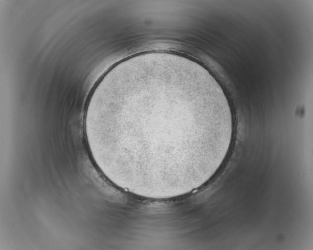 X0000112741178200910011214