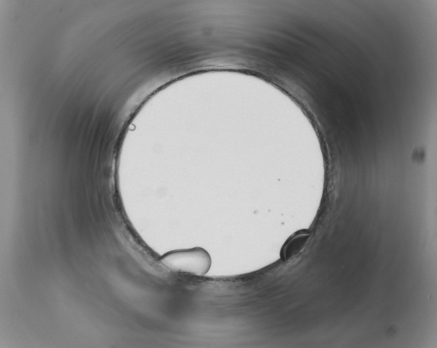 X0000112741179200910011214