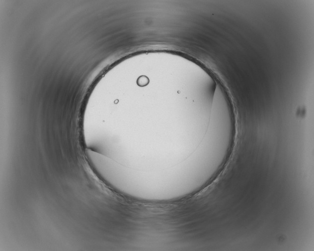 X0000112741181200910011214