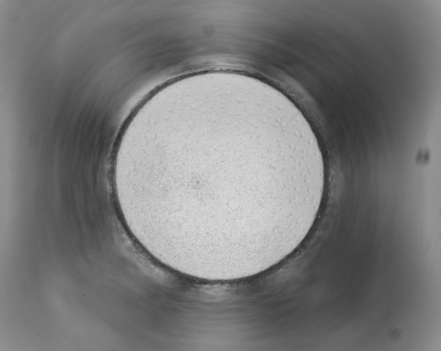 X0000112741182200910011214