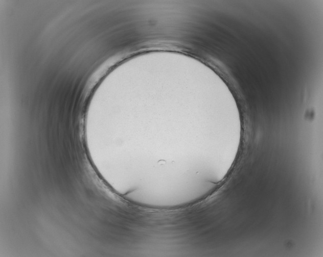 X0000112741188200910011214