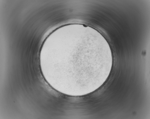 X0000112741192200910011213