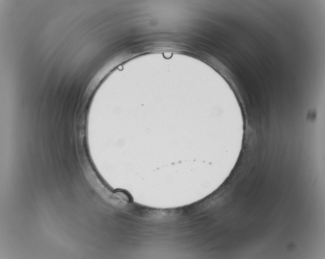 X0000112741195200910011213