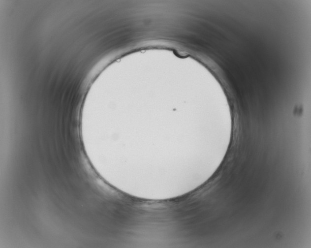 X0000112741199200910011213