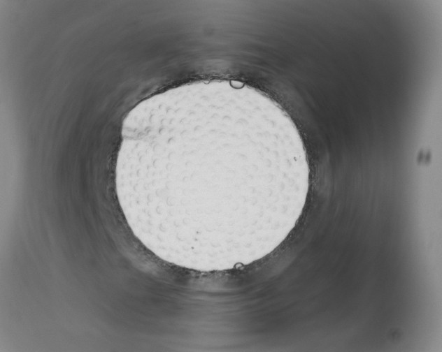 X0000112741201200910011213