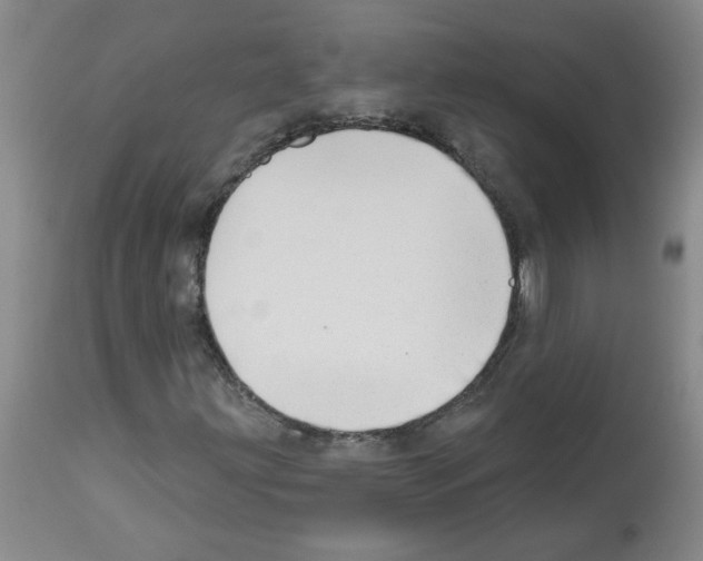 X0000112741203200910011213