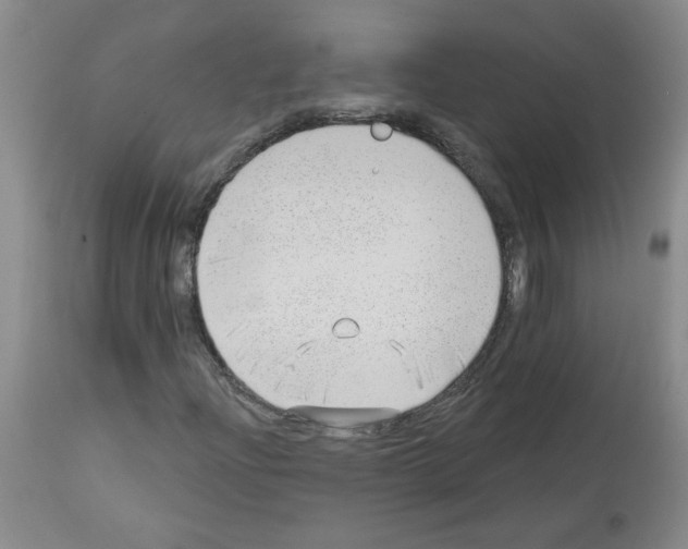 X0000112741204200910011213