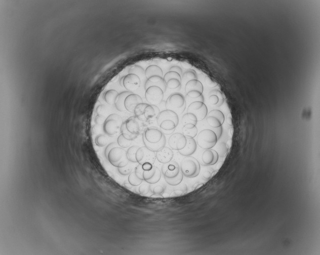 X0000112741205200910011213