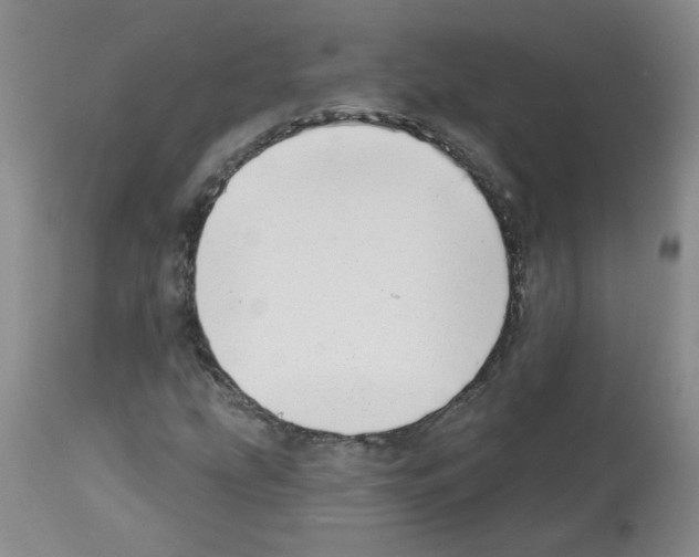 X0000112741207200910011213