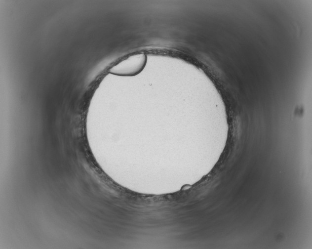 X0000112741208200910011213