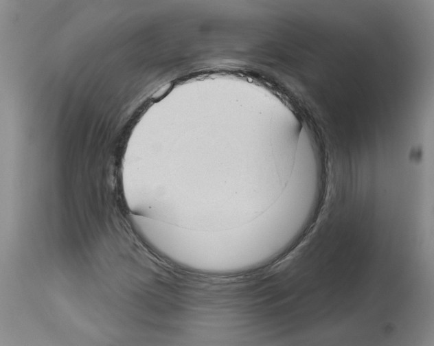 X0000112741209200910011213