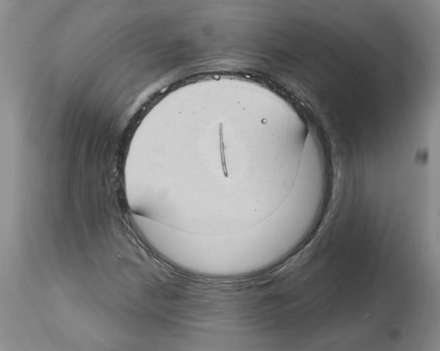 X0000112741210200910011213