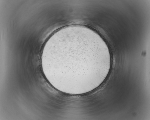 X0000112741212200910011213