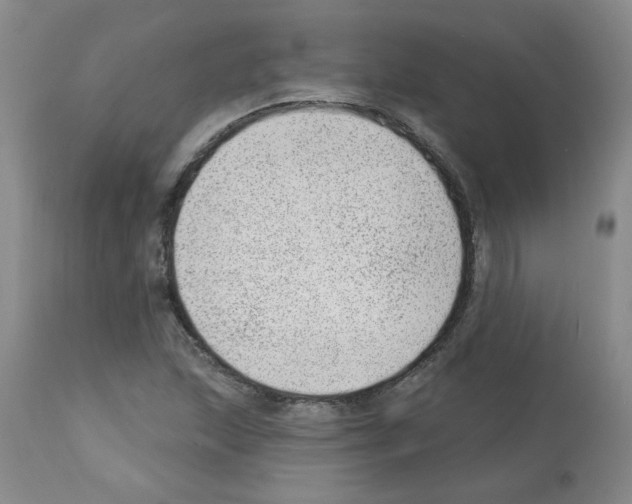 X0000112741215200910011213