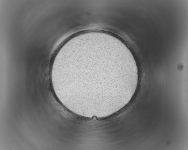 X0000112741216200910011213