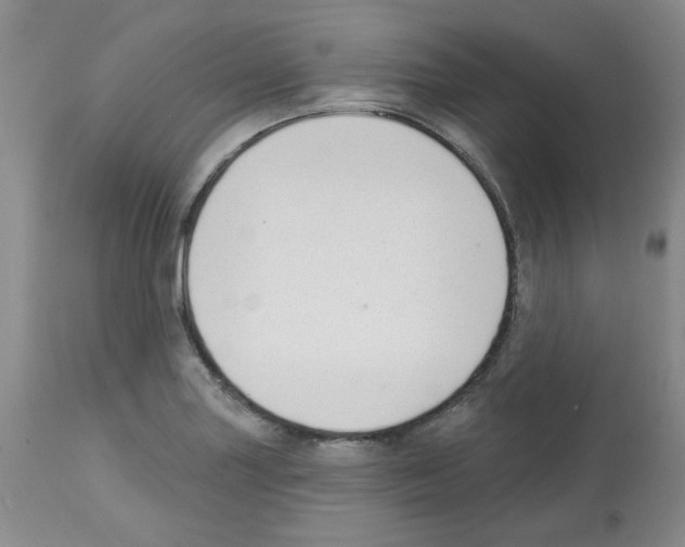 X0000112741227200910011213