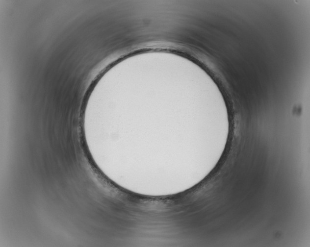 X0000112741229200910011213