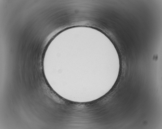 X0000112741230200910011213