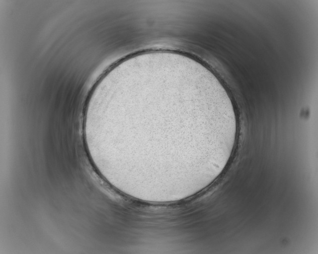 X0000112741232200910011213