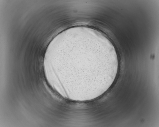 X0000112741233200910011213