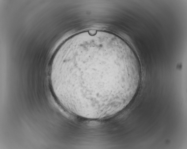 X0000112741235200910011213