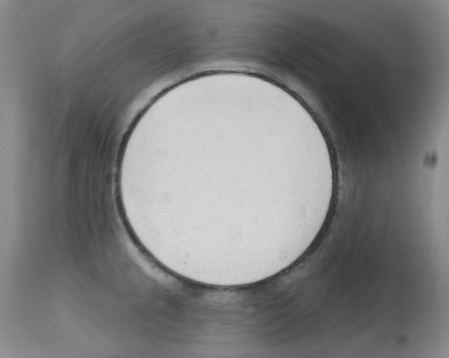 X0000112741237200910011213