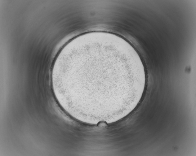 X0000112741238200910011213