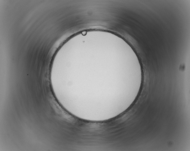 X0000112741240200910011213