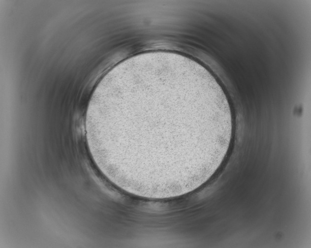 X0000112741241200910011213