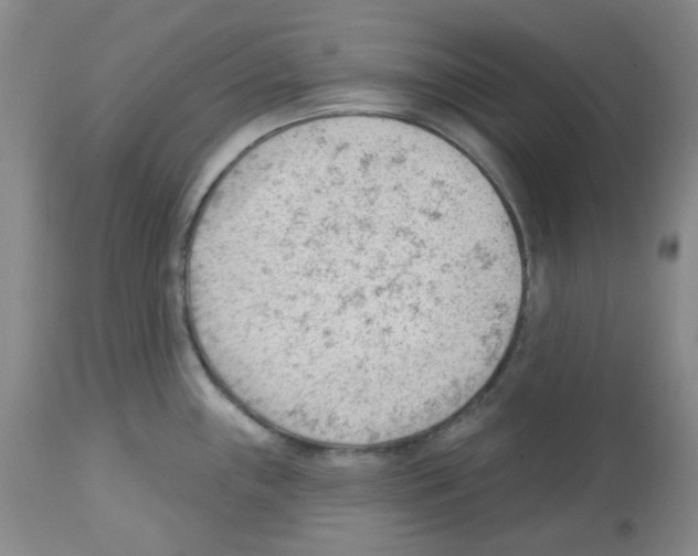 X0000112741243200910011213