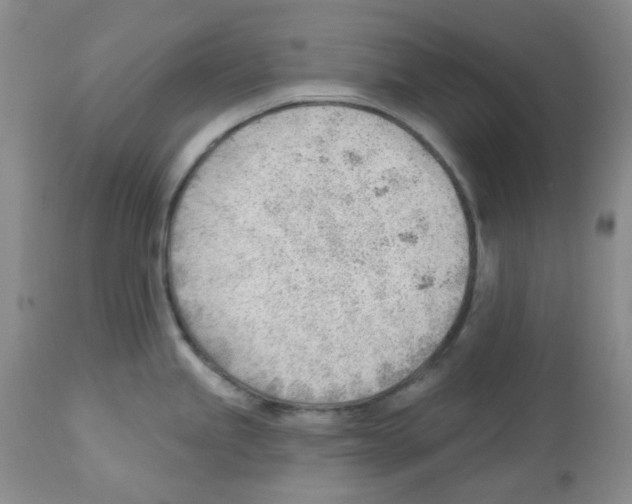 X0000112741245200910011213