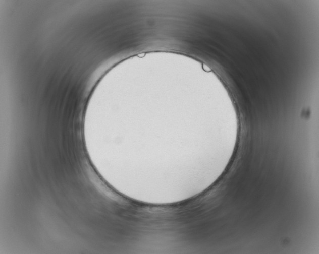 X0000112741246200910011213