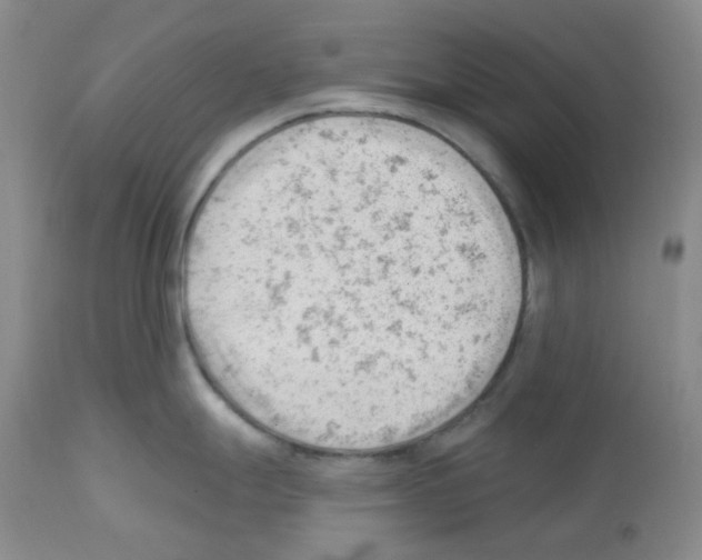 X0000112741247200910011213