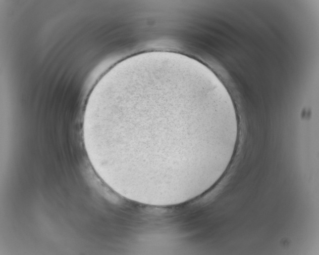 X0000112741248200910011213