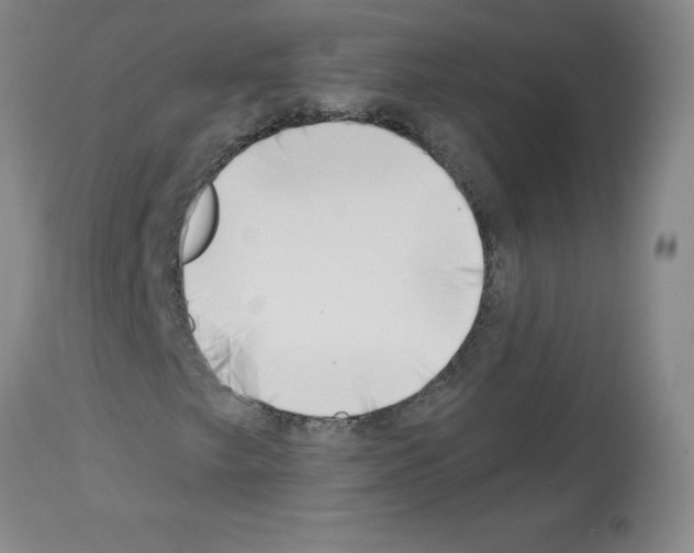 X0000112741249200910011213