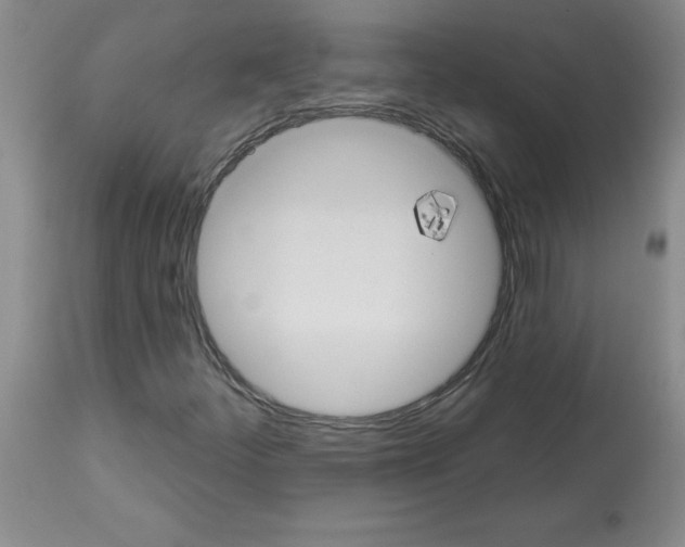 X0000112741252200910011213