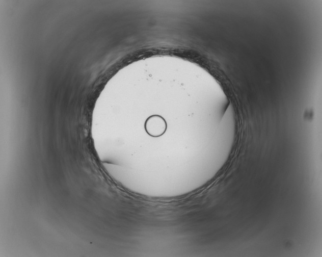 X0000112741253200910011213