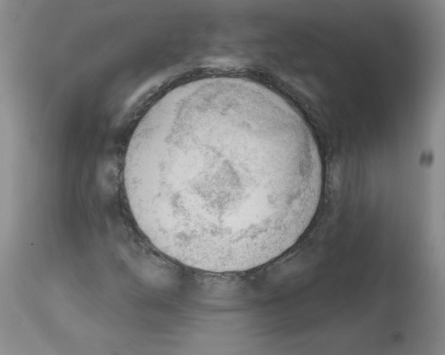 X0000112741254200910011213