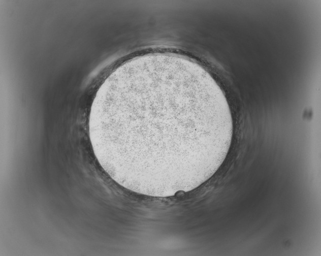 X0000112741255200910011213