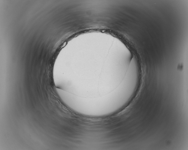 X0000112741257200910011213