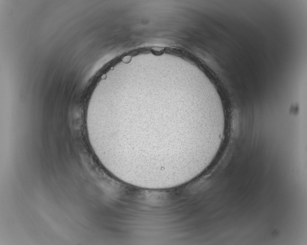 X0000112741258200910011213