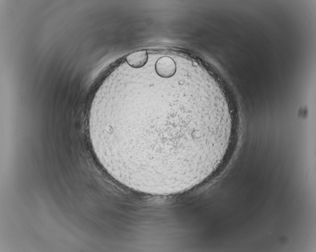 X0000112741259200910011213