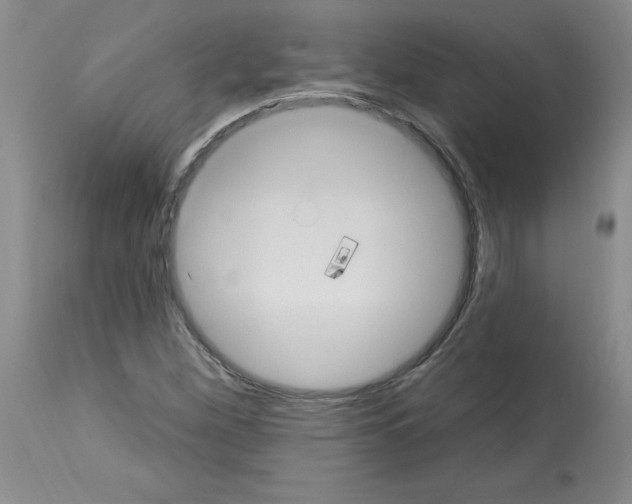 X0000112741260200910011213