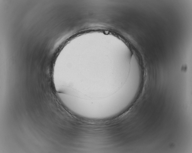 X0000112741261200910011213