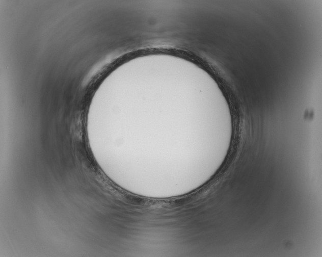 X0000112741262200910011213