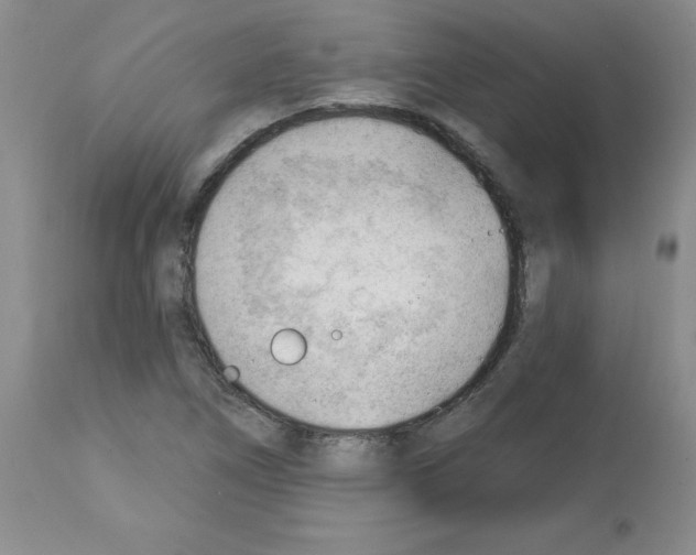 X0000112741266200910011212