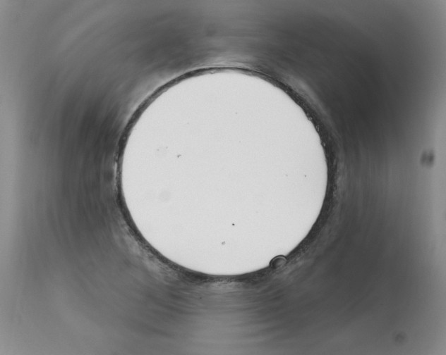 X0000112741268200910011212